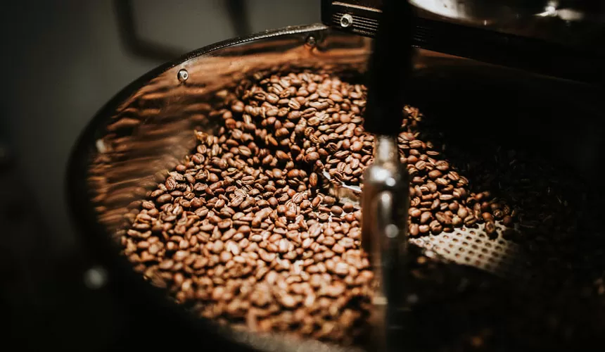 Perbedaan Arabika dan Robusta