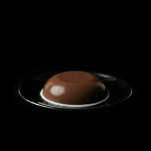 Silky Pudding Chocolate